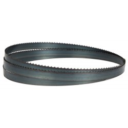 Lentzāģa lenta 2490/6 - 19 mm (BS350)