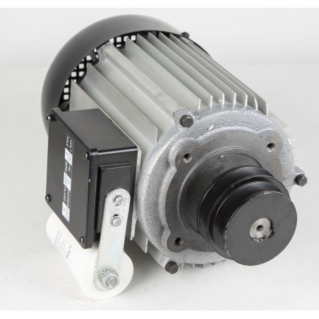 Electric motor BS350 1000W/230V